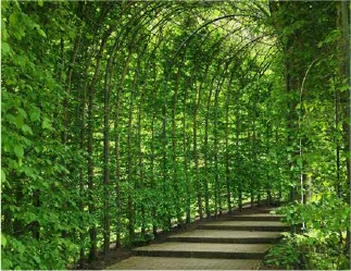 Botanical Garden